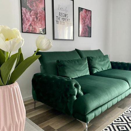 Velvet Studio Targu Mures Ngoại thất bức ảnh