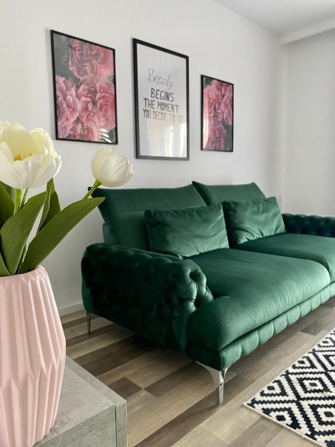 Velvet Studio Targu Mures Ngoại thất bức ảnh